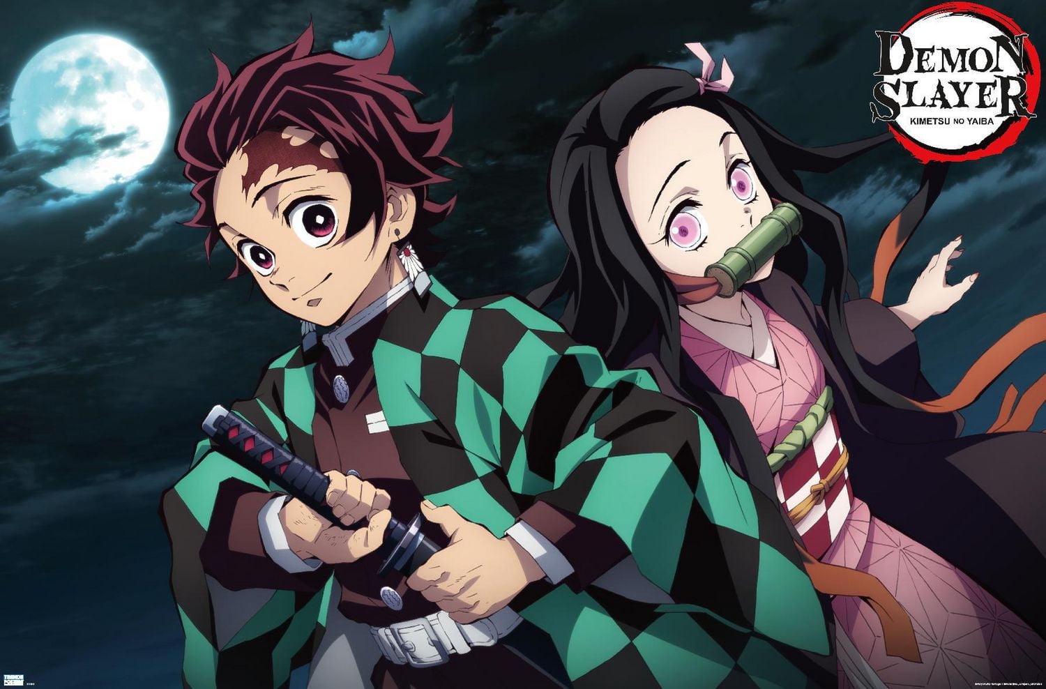 Demon Slayer - Tanjiro & Nezuko Night Wall Poster, 22.375" x 34"