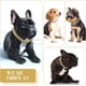 thumbnail image 5 of Luxury Diamond Dog Cuban Chain Collar with Design Secure Buckle Pet Necklace Jewelry Accessories for Small Medium Large Dogs Cat ShopWise Round, 5 of 9