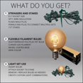 thumbnail image 6 of Wintergreen Lighting G50 Shatterproof FlexFilament Warm White LED Pathway Light Kit, 25 Lights, 25 ft, 6 of 7