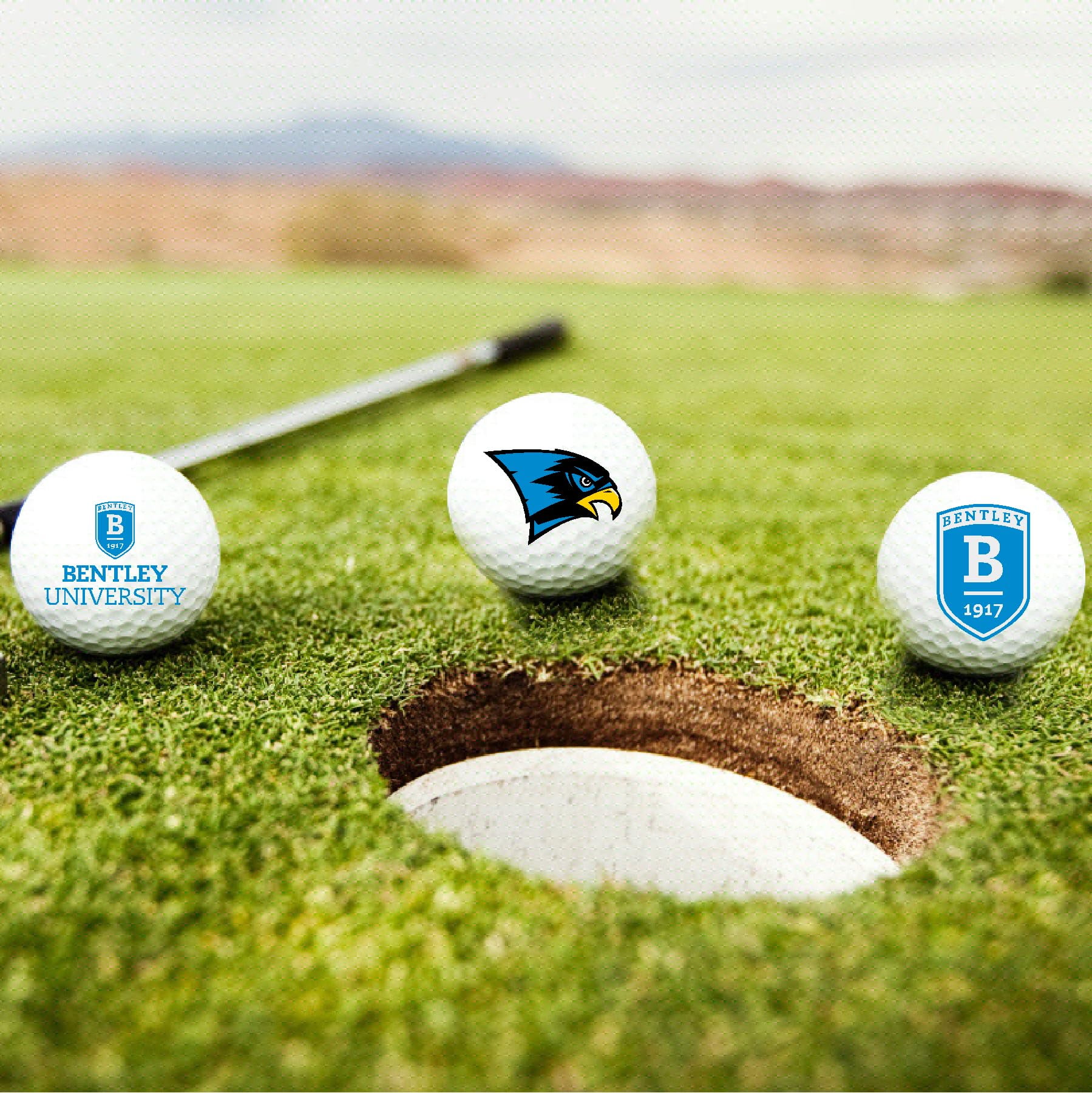 Bentley University Falcons Logo Edition Taylormade Distance+ Golf Balls 12-Pack (Dozen)