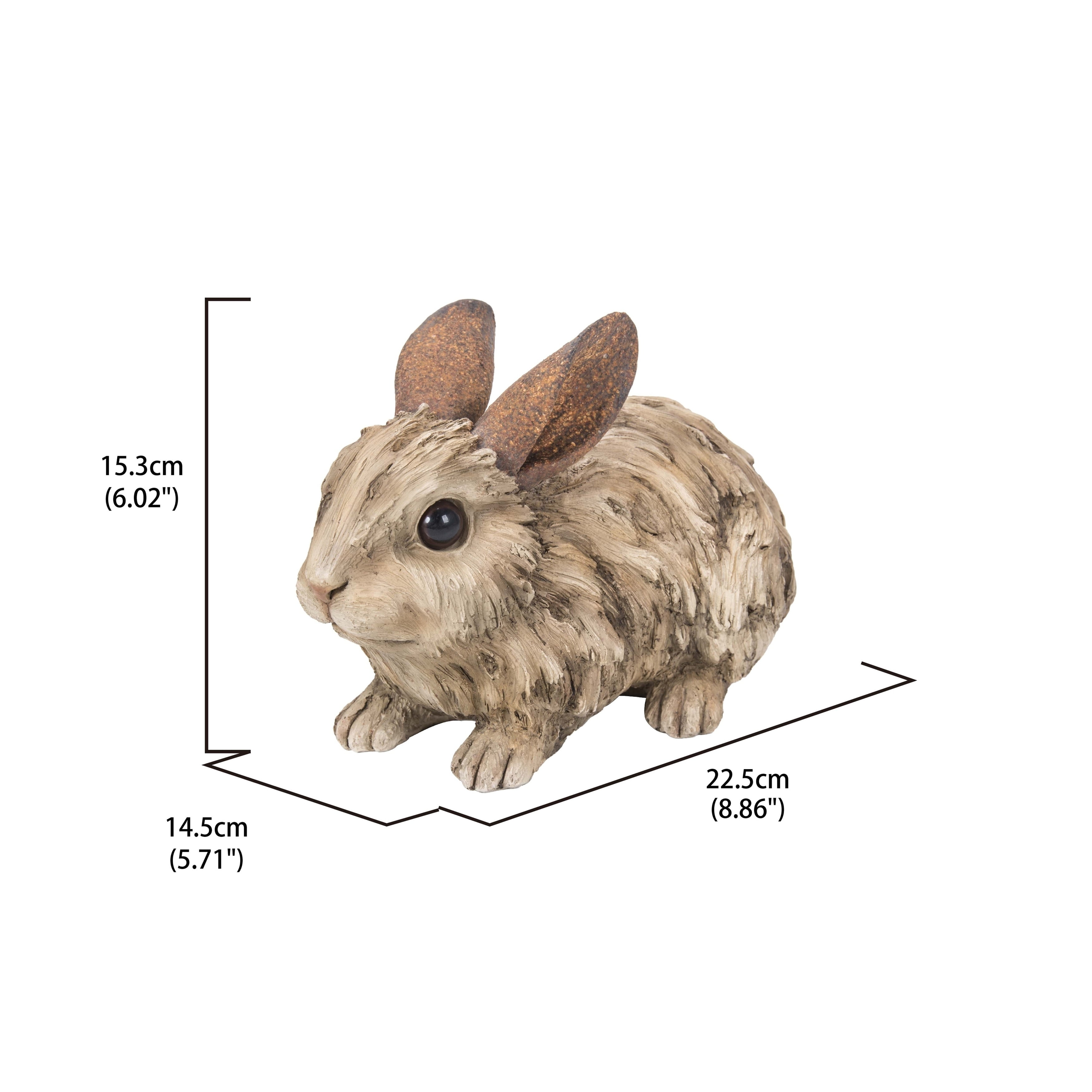 Ebros Realistic Faux Driftwood Finish Design Crouching Bunny Rabbit Resin  Statue 5.5 Tall Animal Rabbits Fairy Tale Nursery Rhymes Decor Figurine  Rustic Outdoors Western Decorative Sculpture : : Home
