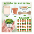 thumbnail image 3 of 24pcs Velas Aromaticas Cactus Verdes Decorativas Con Maceta Malubero Café, 3 of 5