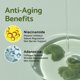 thumbnail image 4 of Sérum facial IUNIK Tea Tree 67% Relief con Centella Asiática 19%, 4 of 6