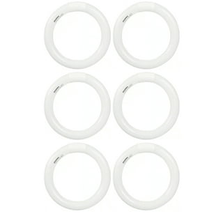 T6 2024 circline bulb