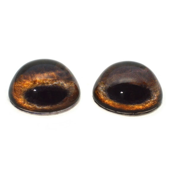 High Domed Medium Brown Dog Glass Eyes