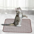 thumbnail image 5 of 2025 Upgraded Dog Cooling Mat - Self-Cooling Pet Pad for Summer, Portable & Washable Cooling Gel Mat for Dogs & Cats, Indoor/Outdoor Use, Stays Cool for Hours, 5 of 5