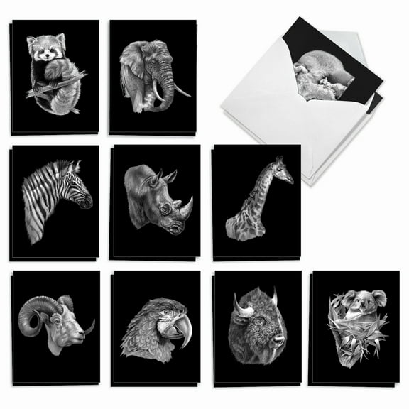 The Best Card Company 20 Assorted Blank Notecards Boxed Set 4 x 5.12 Inch with Envelopes (10 Designs, 2 Each) Wildlife Sketches AM2817OCB-B2x10