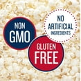 thumbnail image 4 of Skinny Pack Gluten Free Popcorn, 100 Calorie Bags, 0.65 Oz, 4 of 13