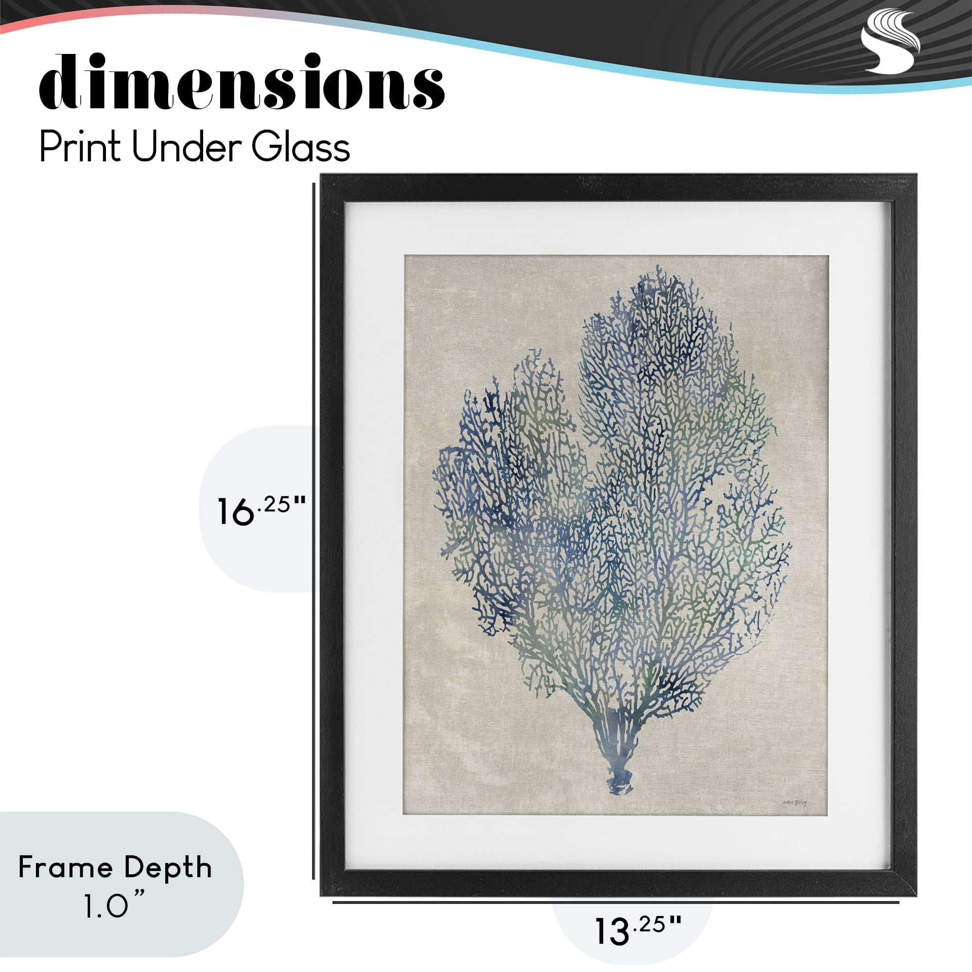 Stupell Industries Fan Coral in Blue & Green Black Framed Print Under Glass, design by Amber Sterling