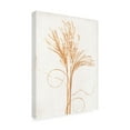 thumbnail image 3 of Canvas Wall Art - Pernille Folcarelli 'Silvergrass Mustard' Wall Art for Living Room, Bedroom, or Office Décor by Trademark Fine Art - 14 x 19 Inches, 3 of 4