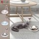 thumbnail image 2 of Juguetes para gatos de interior con pista de pelota automatizada electrónica interactiva, 2 of 5