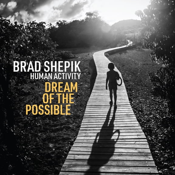 Brad Shepik - Human Activity: Dream of the Possible - Music & Performance - CD