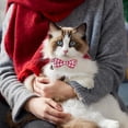 thumbnail image 3 of Mumup 2 Pcs Red Cat Collar for Boy Girl Cats Breakaway Cat Collars with Bell Cute Christmas Kitten Bow Tie Collar Adjustable Small Puppy Safety Collar Solid Color Plaid Pet Collar, 3 of 7