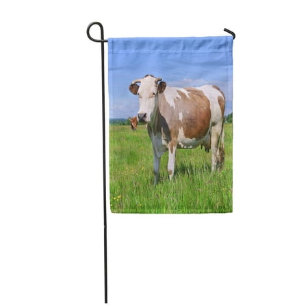 KDAGR Farm Cow on Summer Pasture Agriculture Beast Beef Garden Flag Decorative Flag House Banner 12x18 inch