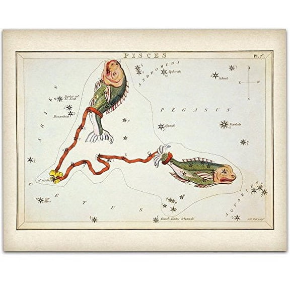 Antique Zodiac Pisces Constellation Plate - 11x14 Unframed Art Print - Great Home Decor or Gift to Astrology Enthusiasts