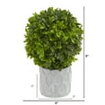 thumbnail image 2 of Nearly Natural 9in. Boxwood Artificial Mini Topiary (Set of 3), 2 of 7
