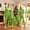 Green, variant on Christmas Family Pajamas Matching Set with Dog Green Long Sleeve Heart Embroidery Sleepwear