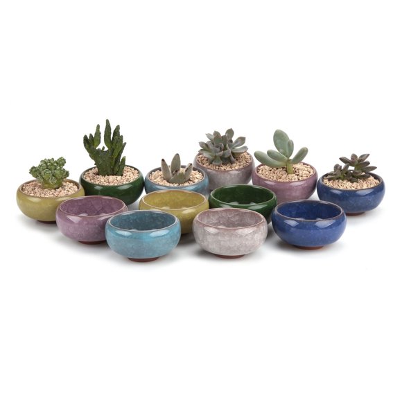 T4U 2.5 Inch Small Ceramic Succulent Planter Pot with Drainage Hole Set of 12, Ice Crack Glaze Porcelain Handicraft Plant Container Gift for Mom Sister Aunt Best for Home Office Desk Decoration