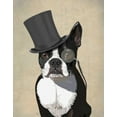 thumbnail image 2 of Fab Funky 15x18 White Modern Wood Framed Museum Art Print Titled - Boston Terrier, Formal Hound and Hat, 2 of 4