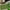 Green, variant on Isvgxsz 15.75x23.62in Artificial Grass Non-Slip Door Mat,Truf Grass Front Door Rugs, Fake Grass Mat for Dogs,Realistic Grass Turf for Entrance,Patio,Garden,Balcony,Home Decor