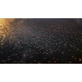 thumbnail image 2 of Chang, Phillip 24x15 White Modern Wood Framed Museum Art Print Titled - Flamingo, 2 of 4