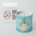 thumbnail image 2 of Carolines Treasures BB9317CDL 3.75 x 3.25 in. Unisex Silver Fantail Pigeon Christmas 10 oz Decorative Soy Candle, Teal, 2 of 5