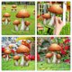 thumbnail image 4 of Estaca de hongo para jardín, estaca de hongo para patio, letrero de hongo acrílico, inserto decorativo para jardín, 4 of 6