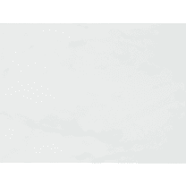 The Tile Life Providence White Glossy Ceramic Wall Tile 10x13 in 15-Piece