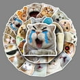 thumbnail image 1 of 100 pegatinas de meme de gato, pegatinas divertidas de gato, pegatinas lindas de gato, meme de gato divertido, pegatinas impermeables de vinilo de gato para adultos, adolescentes, 1 of 5