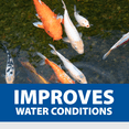 thumbnail image 5 of The Pond Guy Muck Defense, Natural Sludge Control Treatment, 96 Tablets, 5 of 9