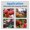thumbnail image 6 of GY-M15/M30 Digital Fruit Hardness Tester Fruit Penetrometer For Apples Pears Strawberries Grapes Fruit Sclerometer Measurement ,Accurate Readings, 6 of 7
