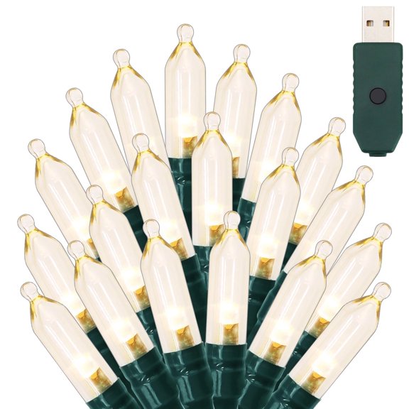 NITIDSKY 16ft 50 LED Christmas Lights USB Plug Green Wire Indoor Christmas Lights String,Warm White