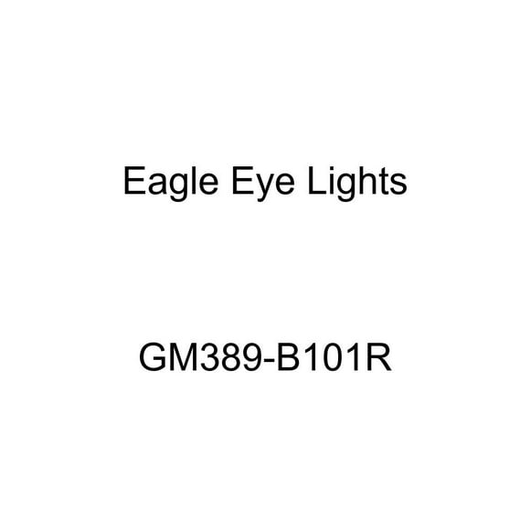 Eagle Eyes GM389-B101R Headlight