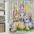 thumbnail image 6 of Orinice Bunny Chicks Grass Bathroom Decor Set, Colorful Luxurious Polyester Fabric Shower Curtain with Hooks, Easter Washable Shower Curtain 69x72, 6 of 7