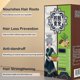 thumbnail image 2 of Ginger Plant Extract Anti-Hair Loss Hair Shampoo -aqwg, 2 of 5