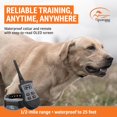 thumbnail image 2 of Collar de adiestramiento SportDOG SportTrainer 875 resistente al agua con control remoto, 0,8 km, 2 of 8