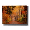 thumbnail image 1 of Epic Graffiti 'Autumn Road' by David Hammond, Giclee Canvas Wall Art, 16"x12", 1 of 6