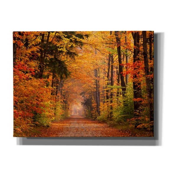 Epic Graffiti 'Autumn Road' by David Hammond, Giclee Canvas Wall Art, 16"x12"