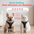 thumbnail image 6 of Voyager Step-In Air Mesh Dog Harness by Best Pet Supplies, 6 of 9