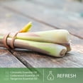 thumbnail image 4 of PHATOIL Citronella Essential Oils 100% Pure  for Diffusers, Humidifier, Aromatherapy Massage Bath Sleep Relaxation 30ml/1.01 fl.Oz, 4 of 8
