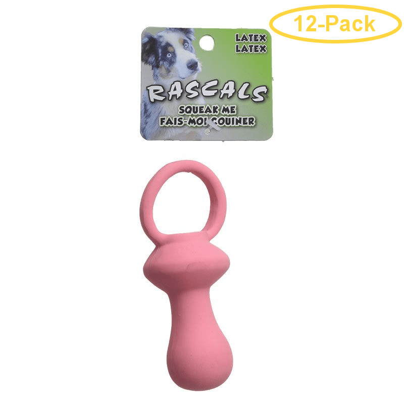 squeaky dog pacifier