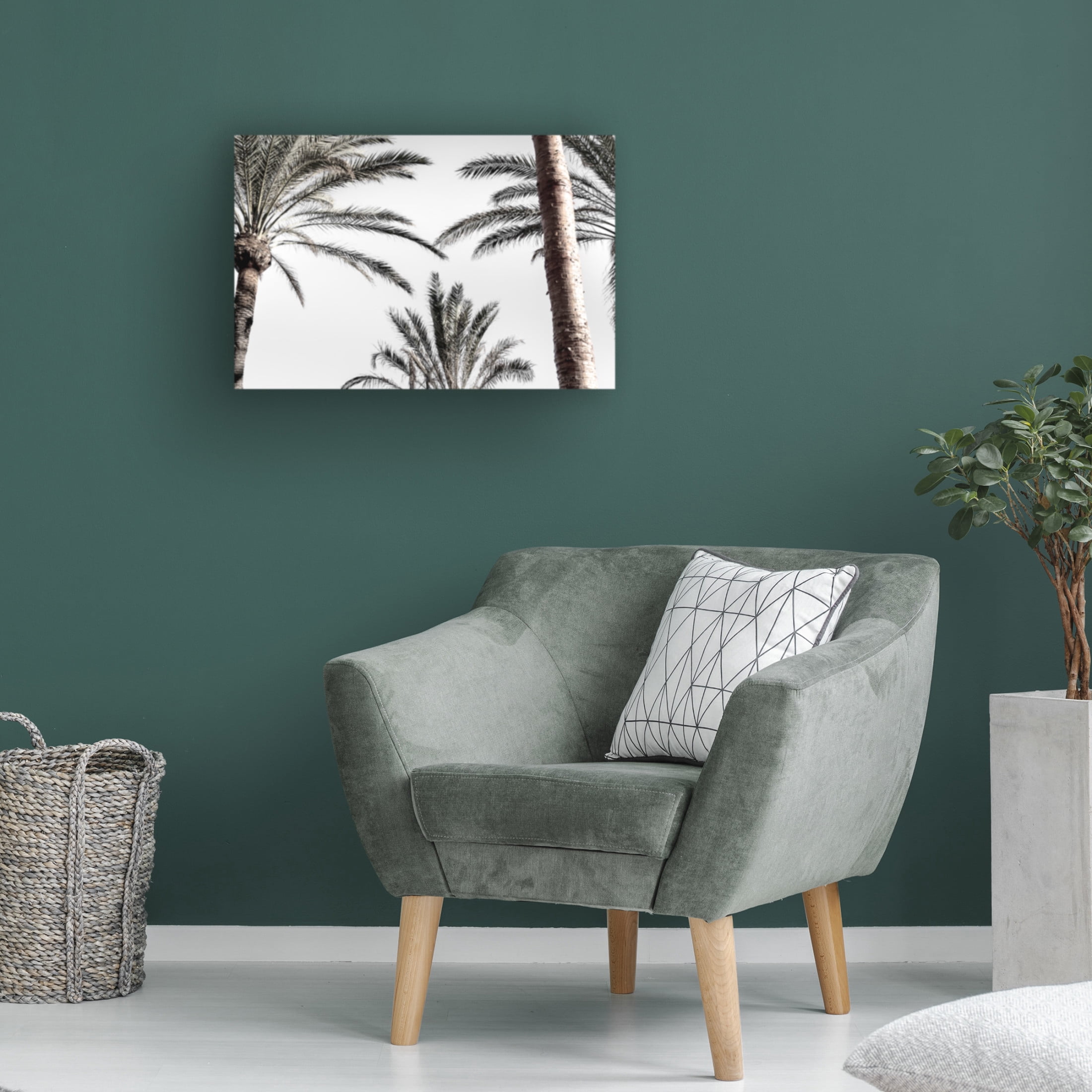Trademark Fine Art Pictufy Studio Palm 007 Canvas Wall Art