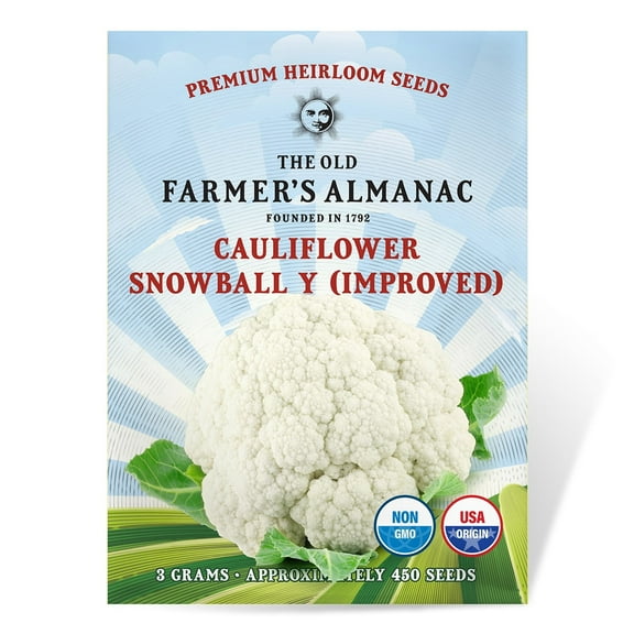 Old Farmer's Almanac Heirloom Snowball Y Improved Cauliflower Plant Seeds, Non-GMO