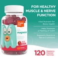 thumbnail image 3 of Chapter One Magnesium Gummies, Calm Kids Magnesium Citrate 100mg, Kosher, Raspberry Flavor, 120 Gummies, 3 of 5