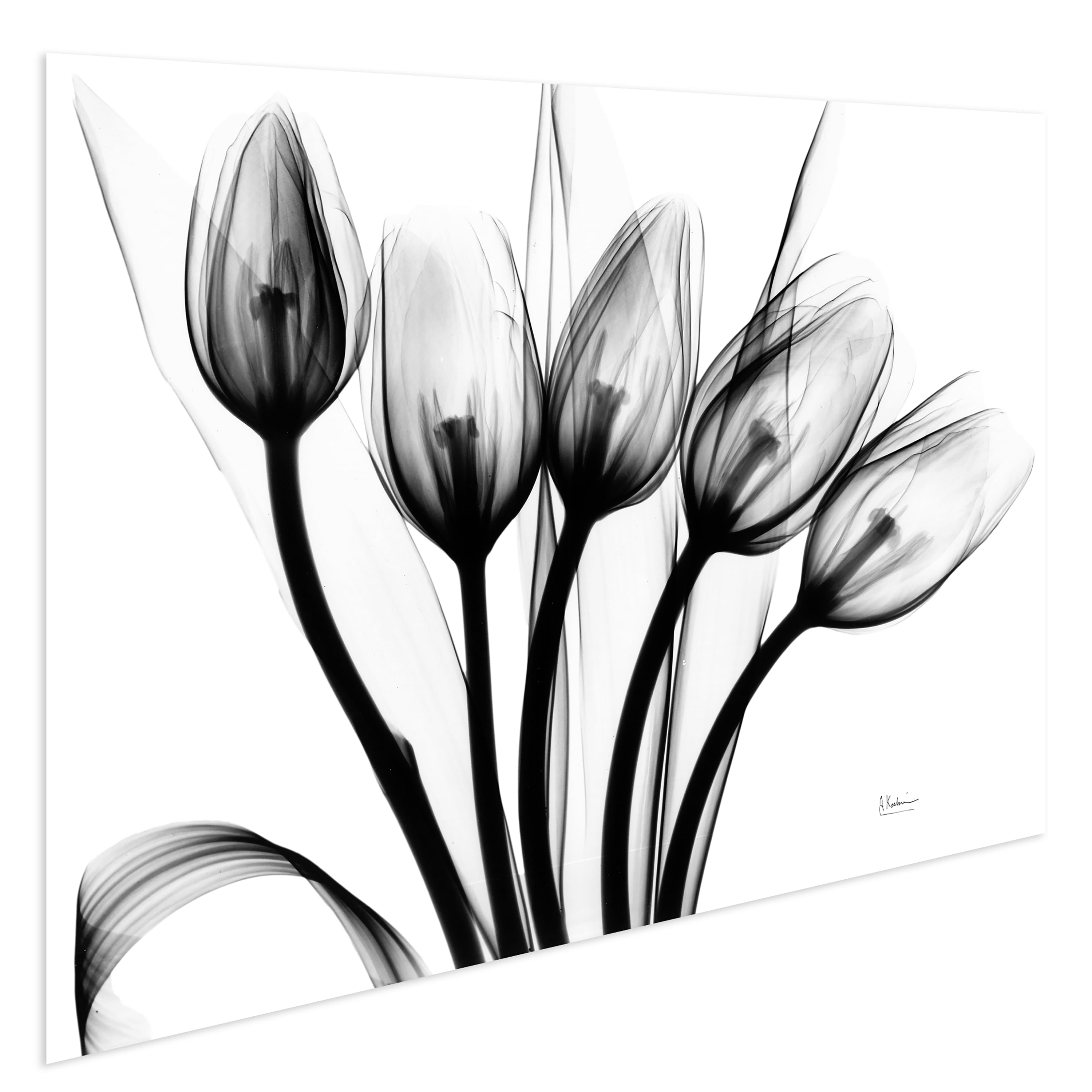 Flower 48 in x 32 in Painting Art Prints, by Empire Art