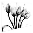 thumbnail image 4 of Flower 48 in x 32 in Painting Art Prints, by Empire Art, 4 of 6