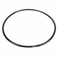 thumbnail image 2 of Pentair 87300400 Body O-Ring Replacement Pool and Spa Filter, 2 of 4