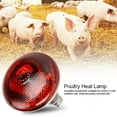thumbnail image 3 of Heat Lamp Bulb For Light Therapy, Pet Warming, And Bathroom Warming, UL Certified Safety With E26 Base, Enhanced Explosion Proof Design, And Thick Tungsten Filament, 3 of 5