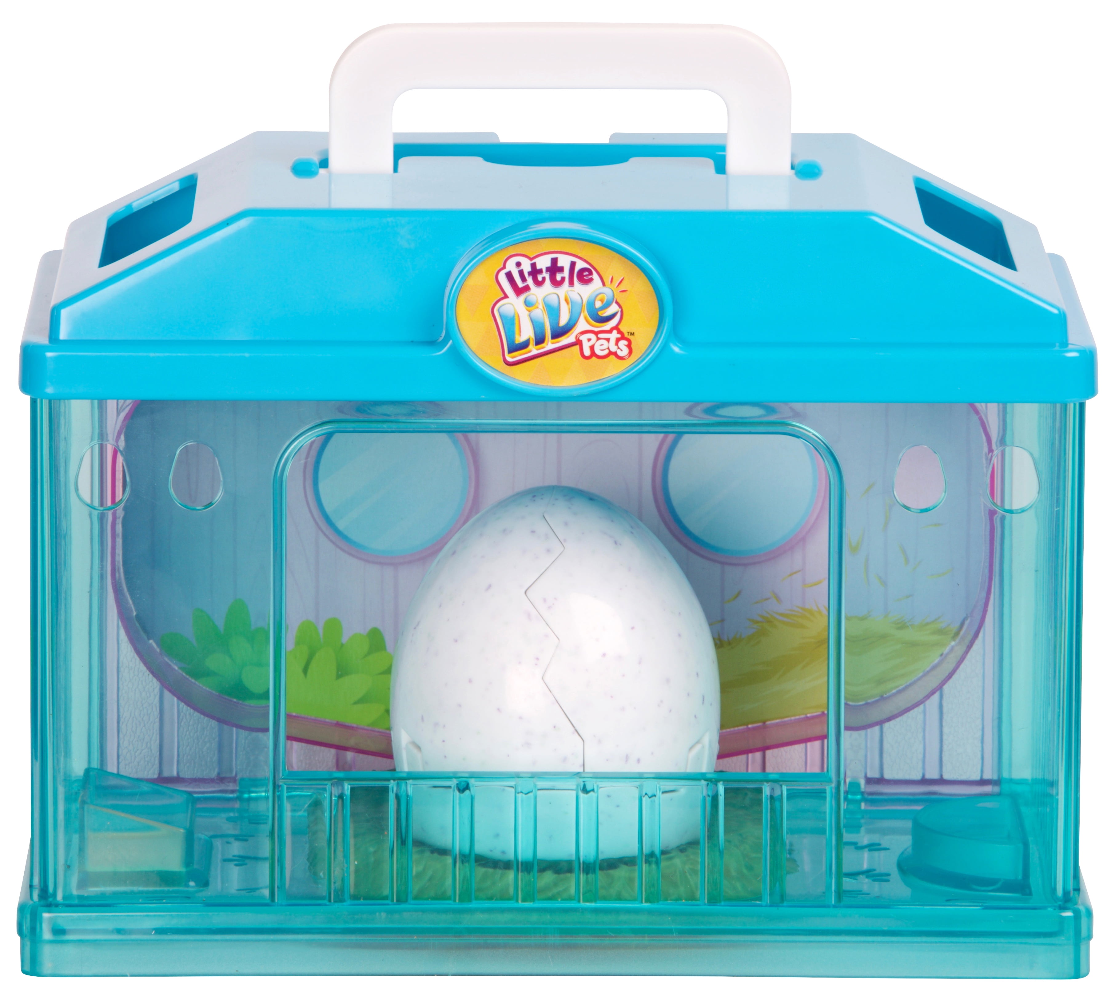 little live pets chick not hatching