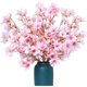 thumbnail image 2 of Xiao Hua Ramo de flores de durazno artificiales de 16 pulgadas, rama corta de flor de durazno artificial, decoración del hogar, flor falsa, rosa (6 piezas), 2 of 5